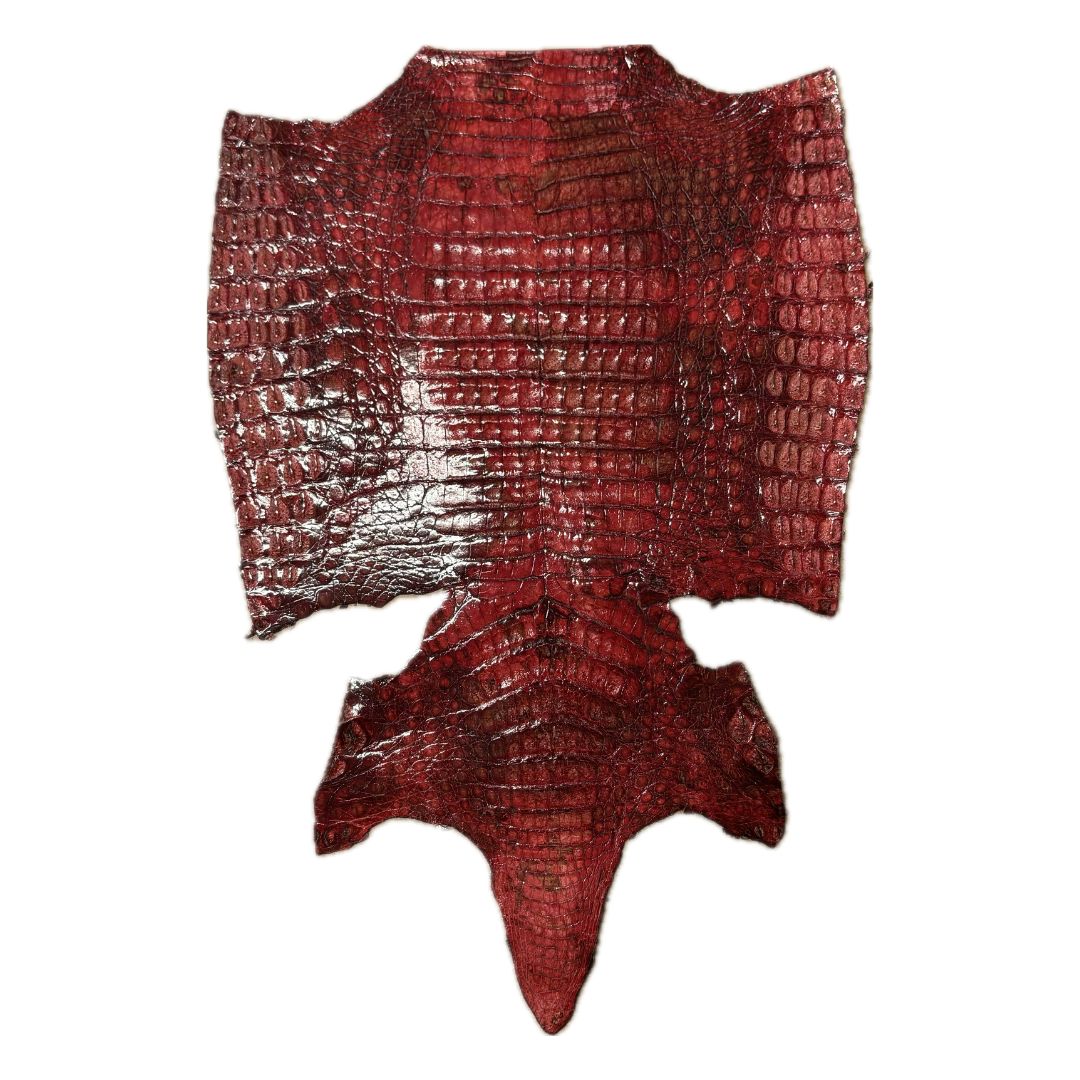 Caiman Crocodile | Belly | Red Glaze