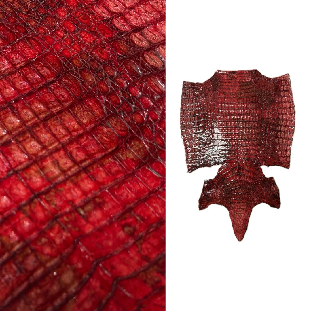 Caiman Crocodile | Belly | Red Glaze