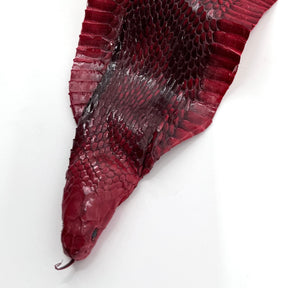 Head-On Genuine Cobra Skin