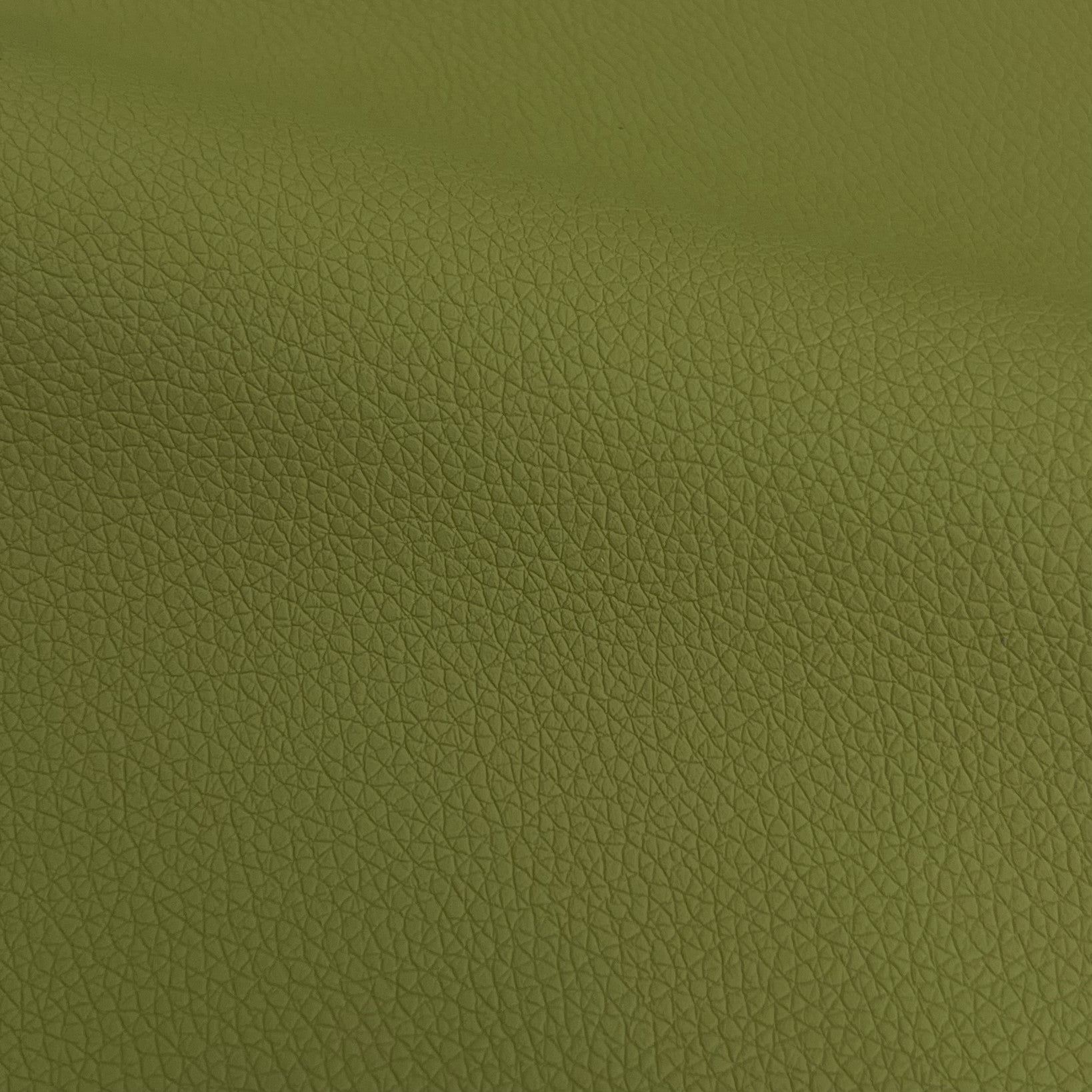 Axel Faux Upholstery Synthetic Vinyl Leather | 55" Wide