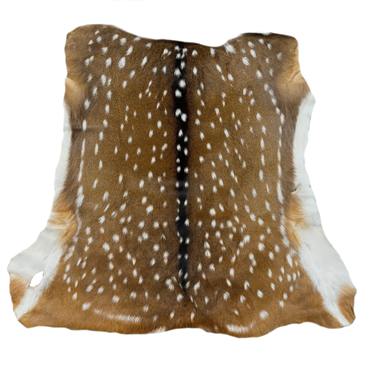 Axis Deer Hide | Extra Large | Ships in 2 weeks