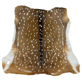 Axis Deer Hide | Grade 1 & Extra Large | Ships in 2 weeks