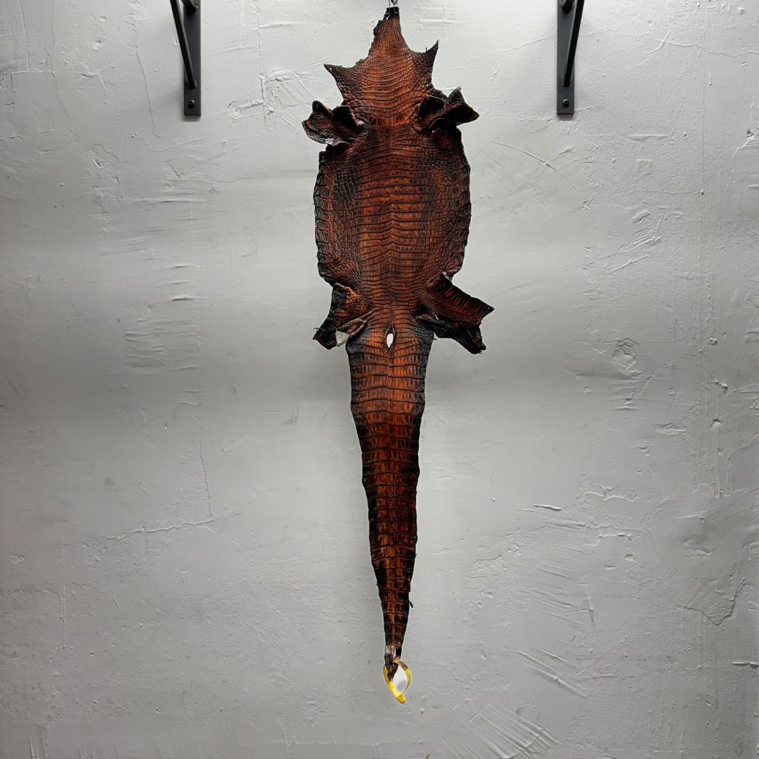 Hand Painted Nile Crocodile | Black + Dusk Orange| 23 cm