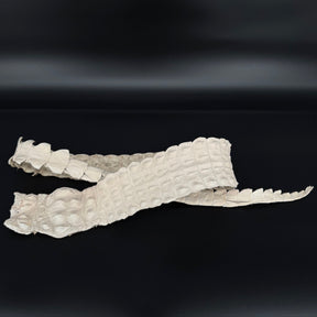Bone color crocodile backstrap for sale – ideal for custom leatherwork and accessories