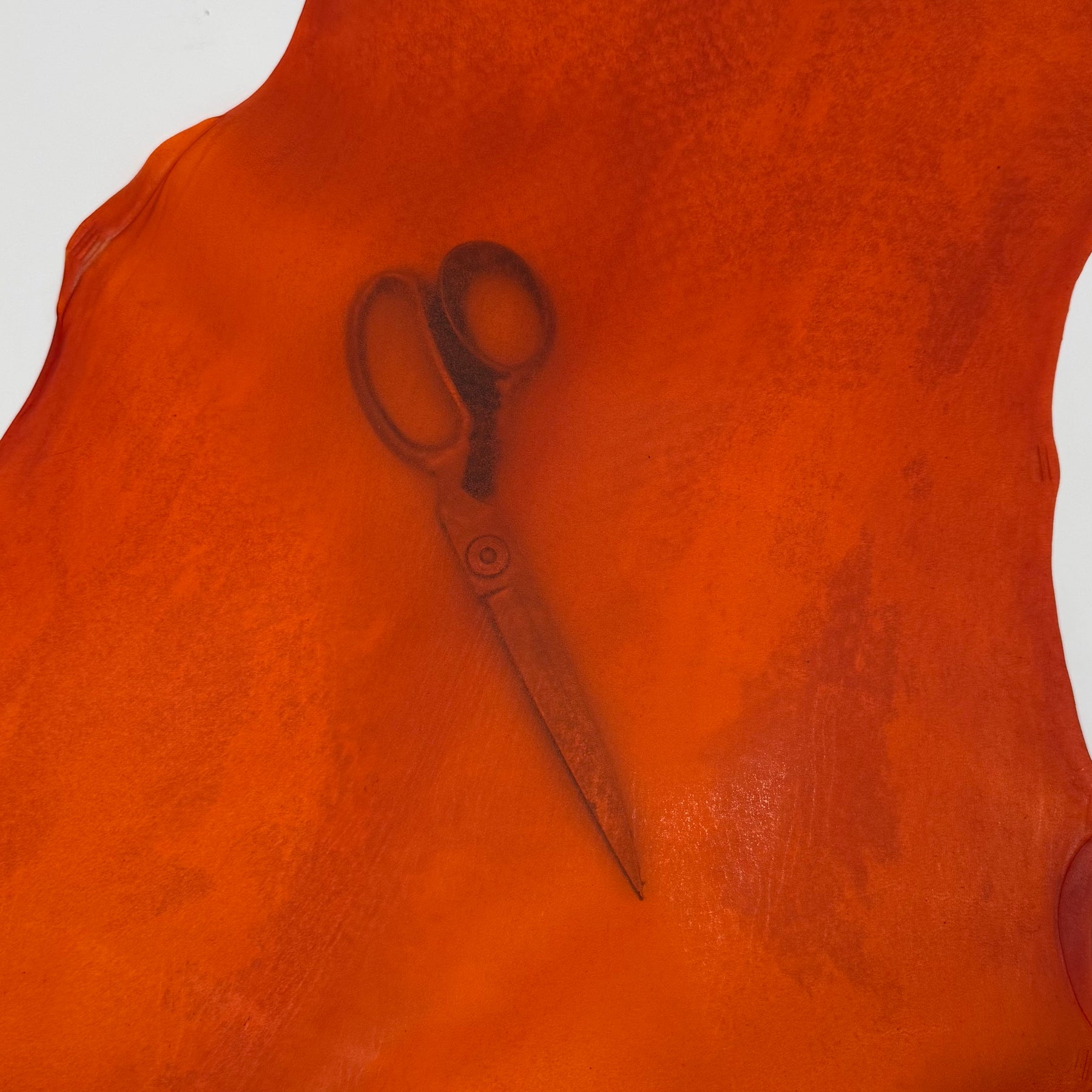 Transparent Lamb Leather