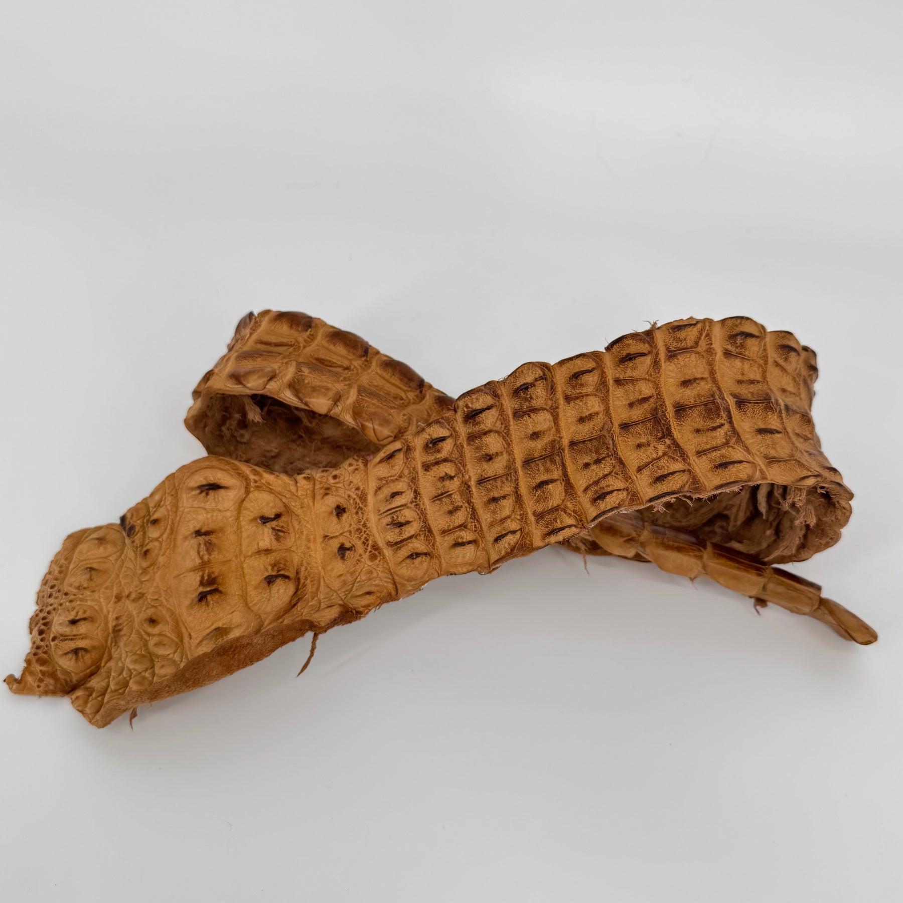 Umber Bruciato crocodile backstrap leather for sale – premium exotic leather for belts and watch straps