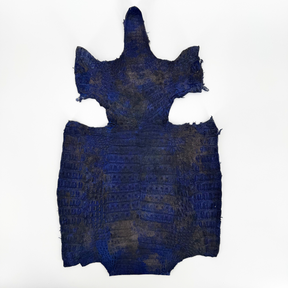 Chrome-tanned Caiman Crocodile Belly leather in Gunmetal Blue for fashion designs.