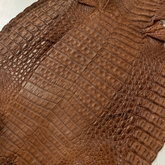 Caiman Crocodile | Cognac