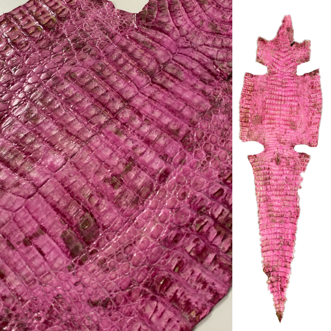 Caiman Crocodile | Pink Marble Glaze