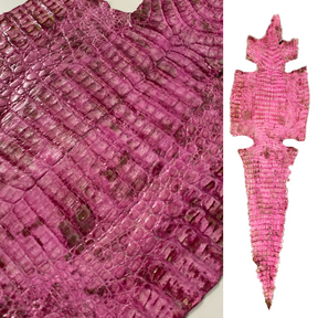 Caiman Crocodile | Pink Marble Glaze