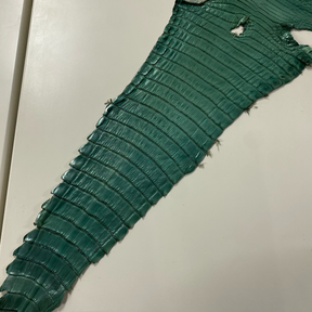 Caiman Crocodile | Green Metallic