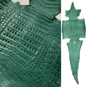 Caiman Crocodile | Green Metallic