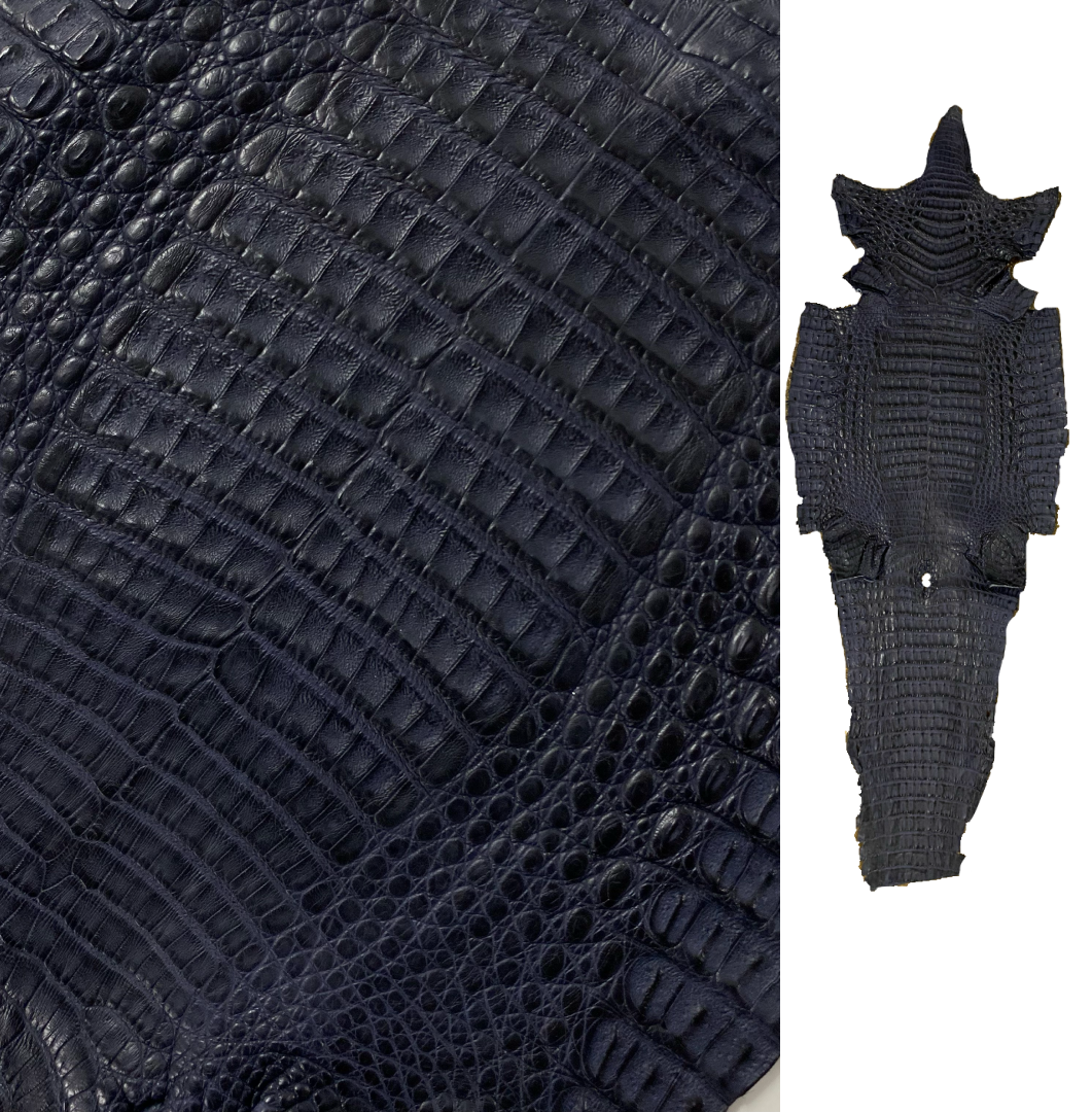 Caiman Crocodile | Navy