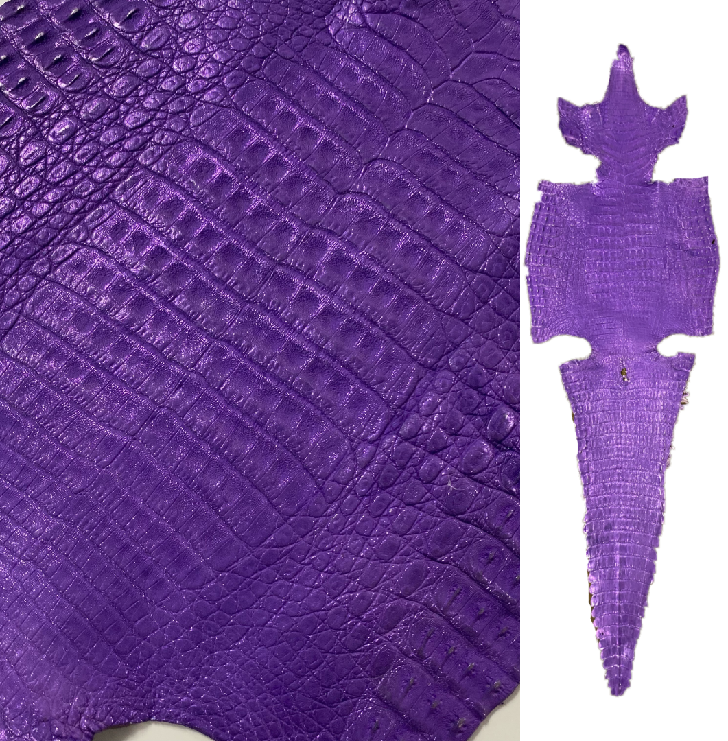 Caiman Crocodile | Purple Metallic