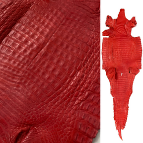 Caiman Crocodile | Matte Red