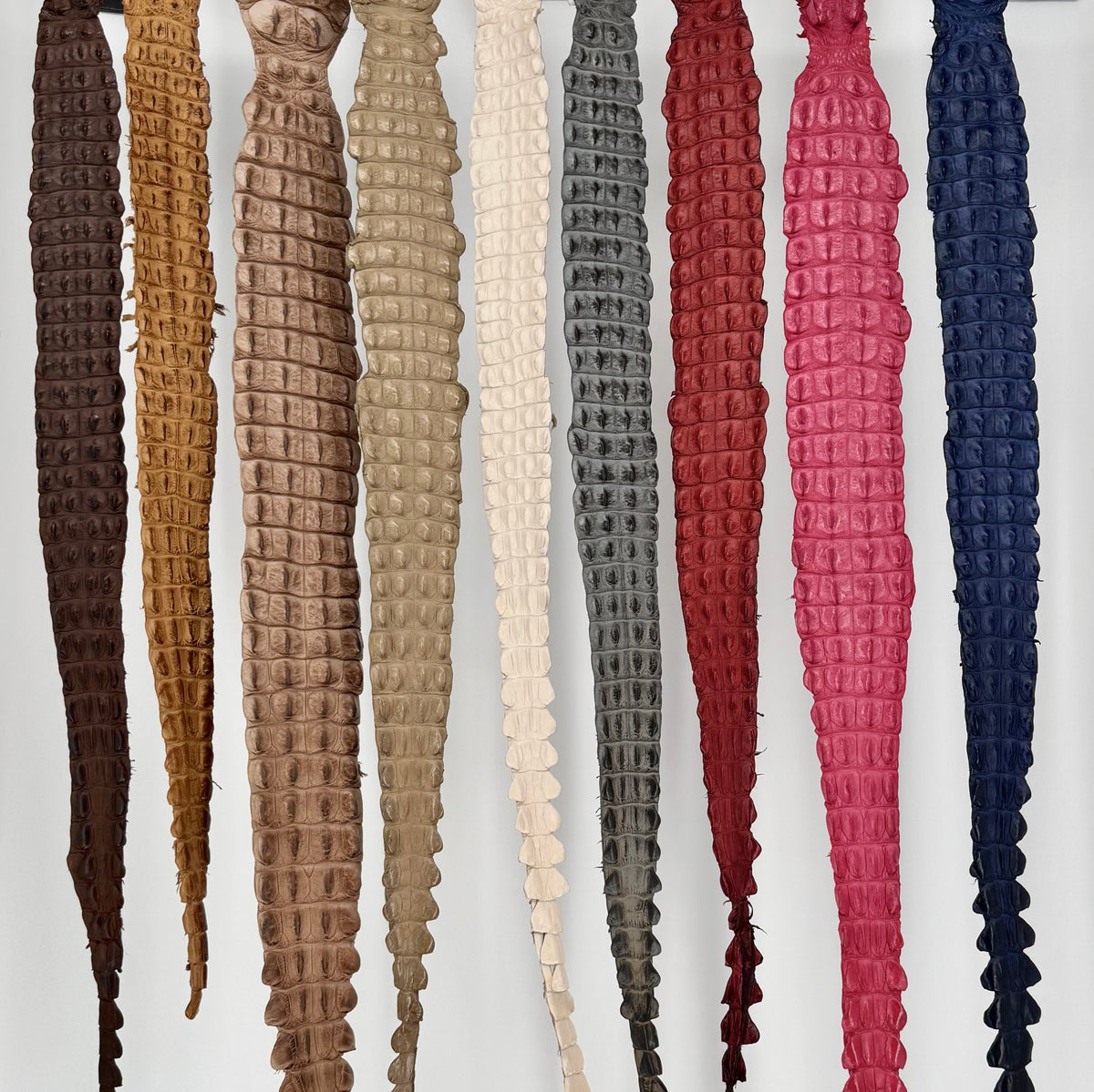 Premium crocodile backstraps in a variety of colors 