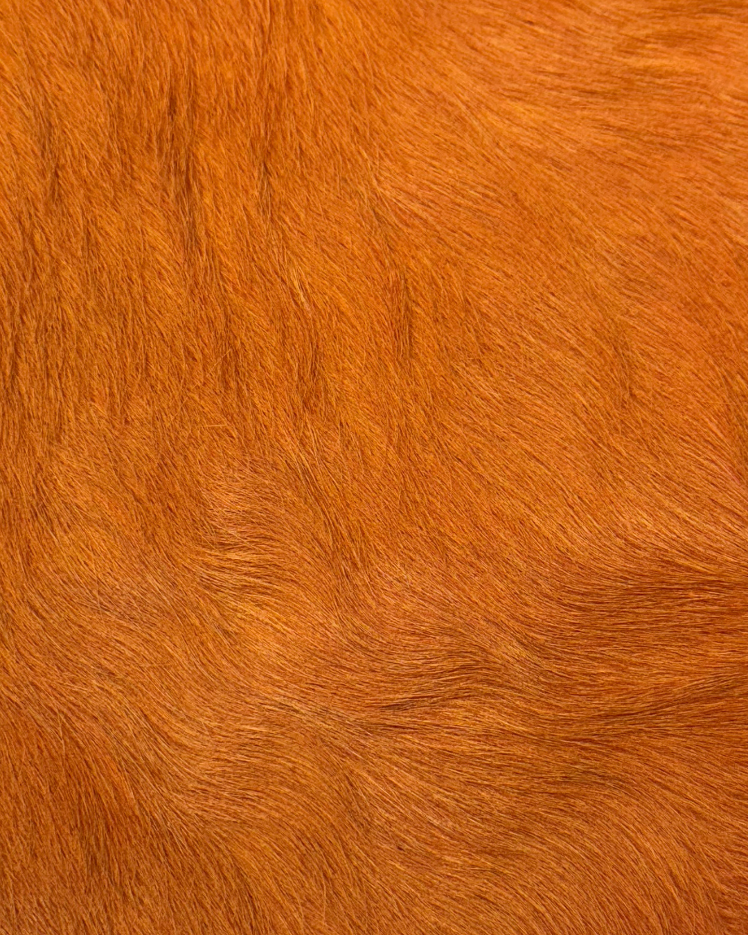 Contrast Two-Toned Hair-on Cow Hide | 2 week lead