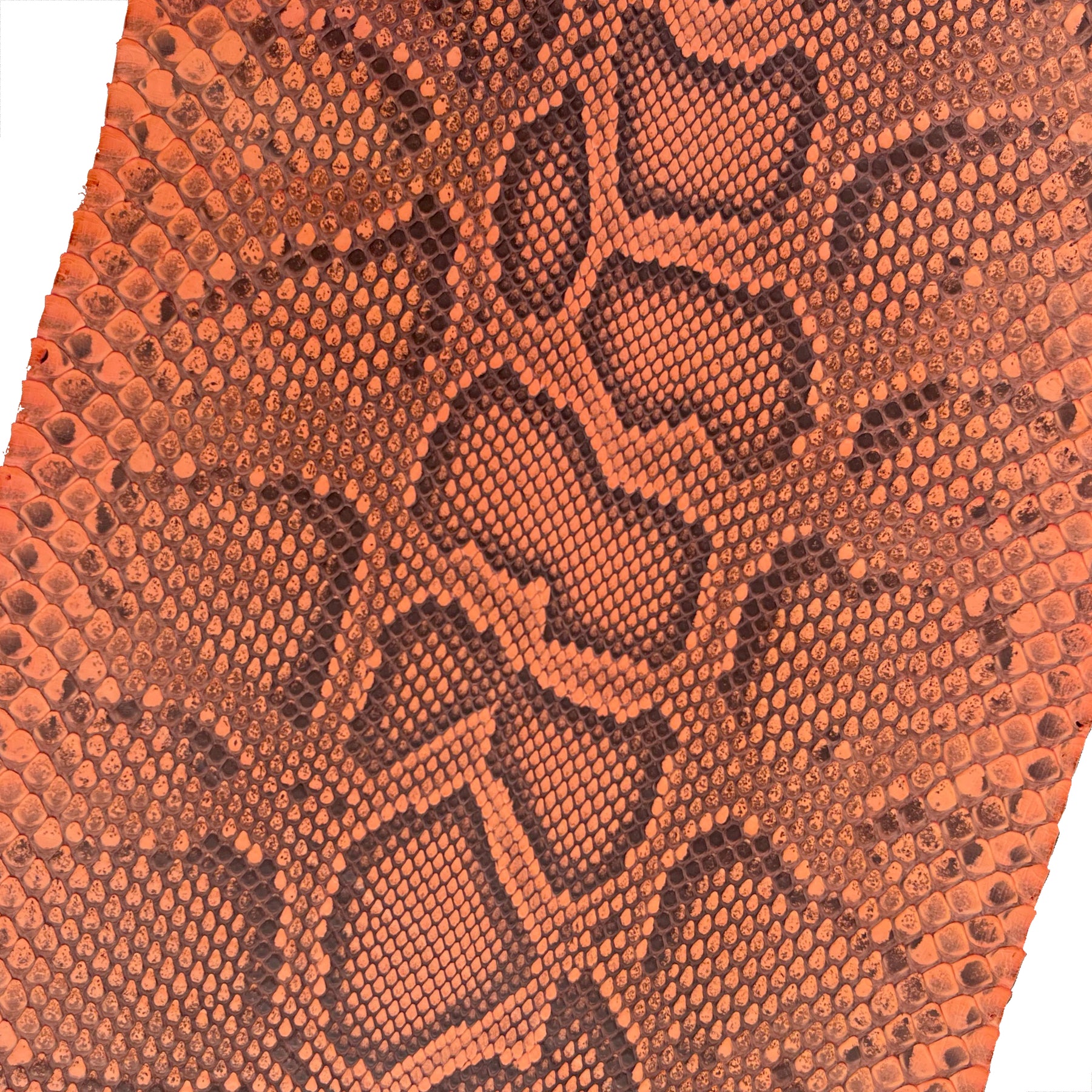 Python Clementine Skin