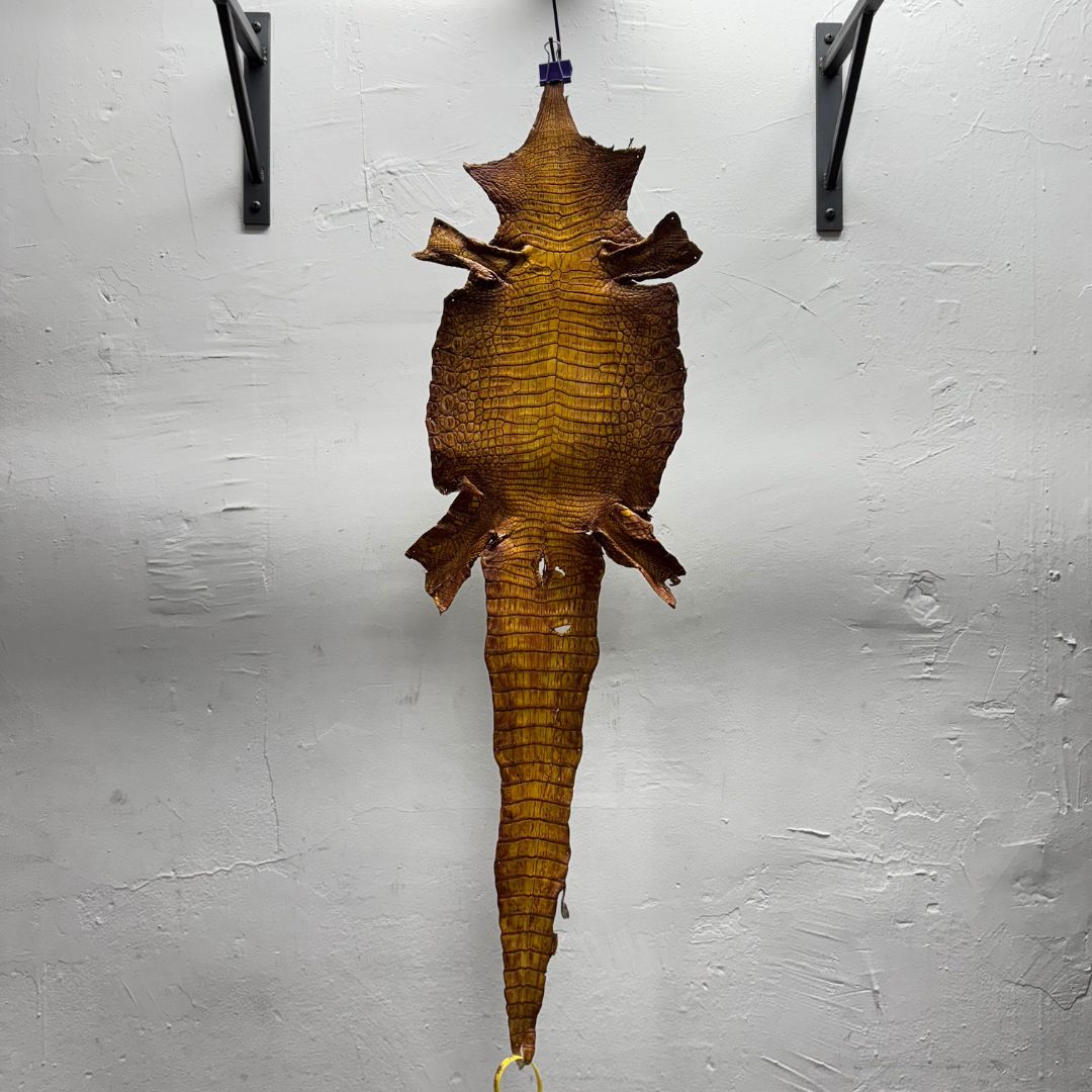 Hand Painted Nile Crocodile | Yellow Brown | 24 cm