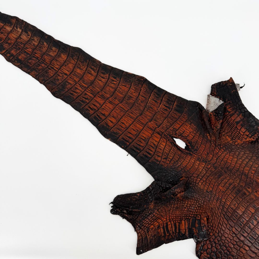 Hand Painted Nile Crocodile | Black + Dusk Orange| 23 cm