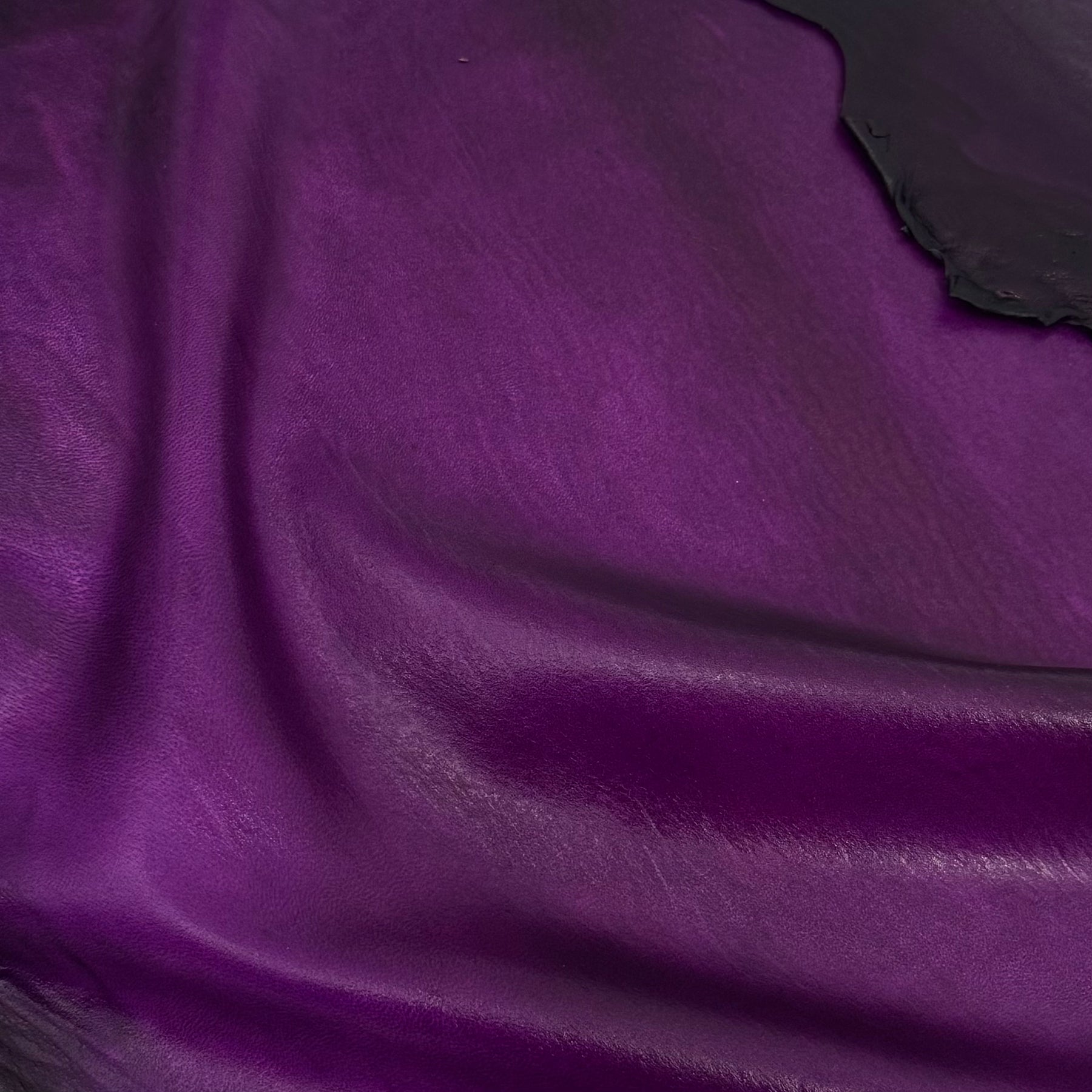 Transparent Lamb Leather