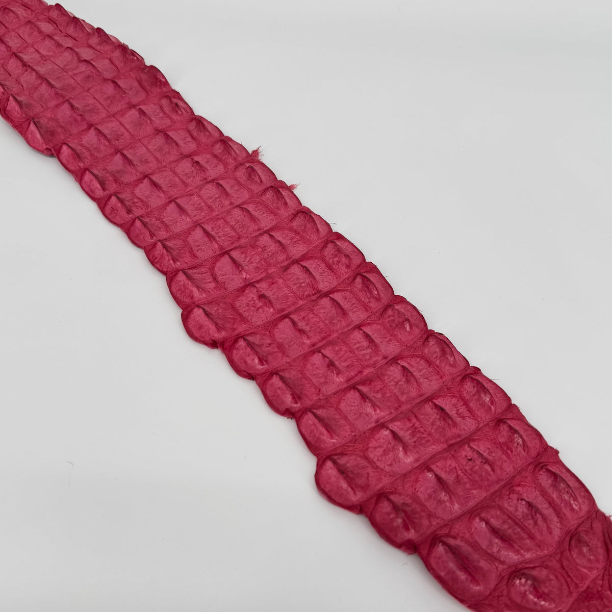 Exotic Bright Pink crocodile backstrap leather – perfect for bold custom goods