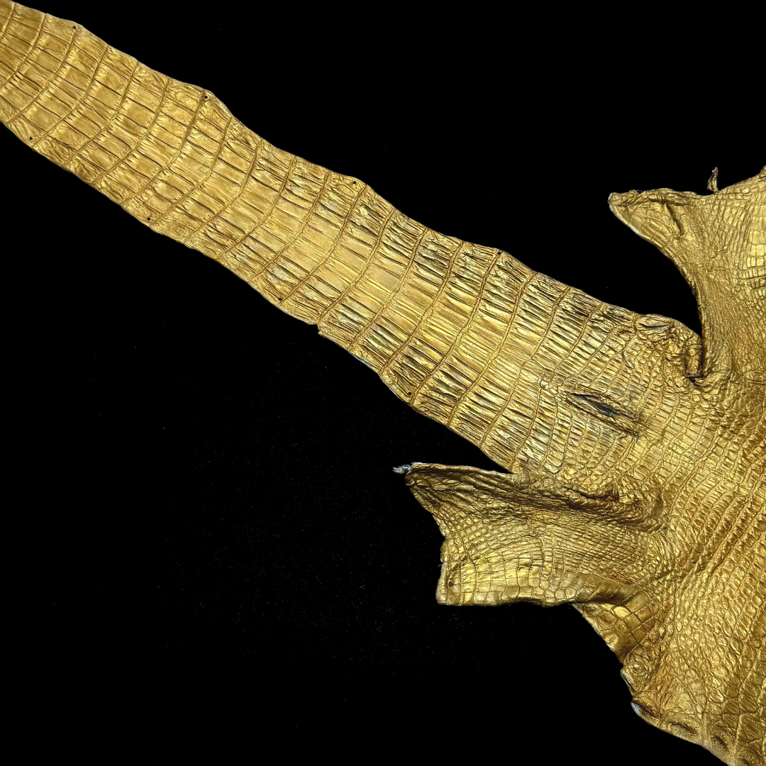 Metallic Hand Painted Nile Crocodile | Gold | 23 cm