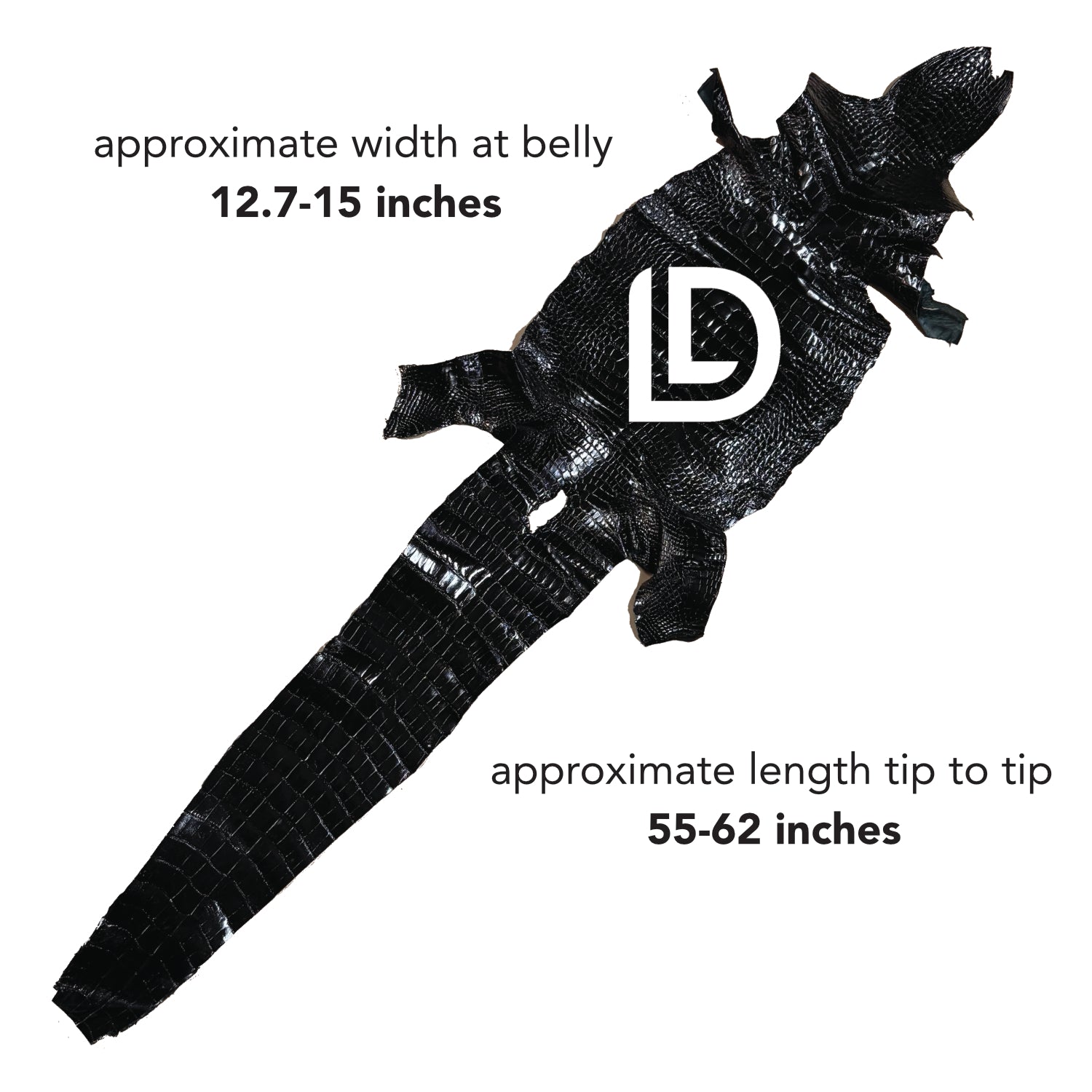 Glazed Black Alligator | Sale