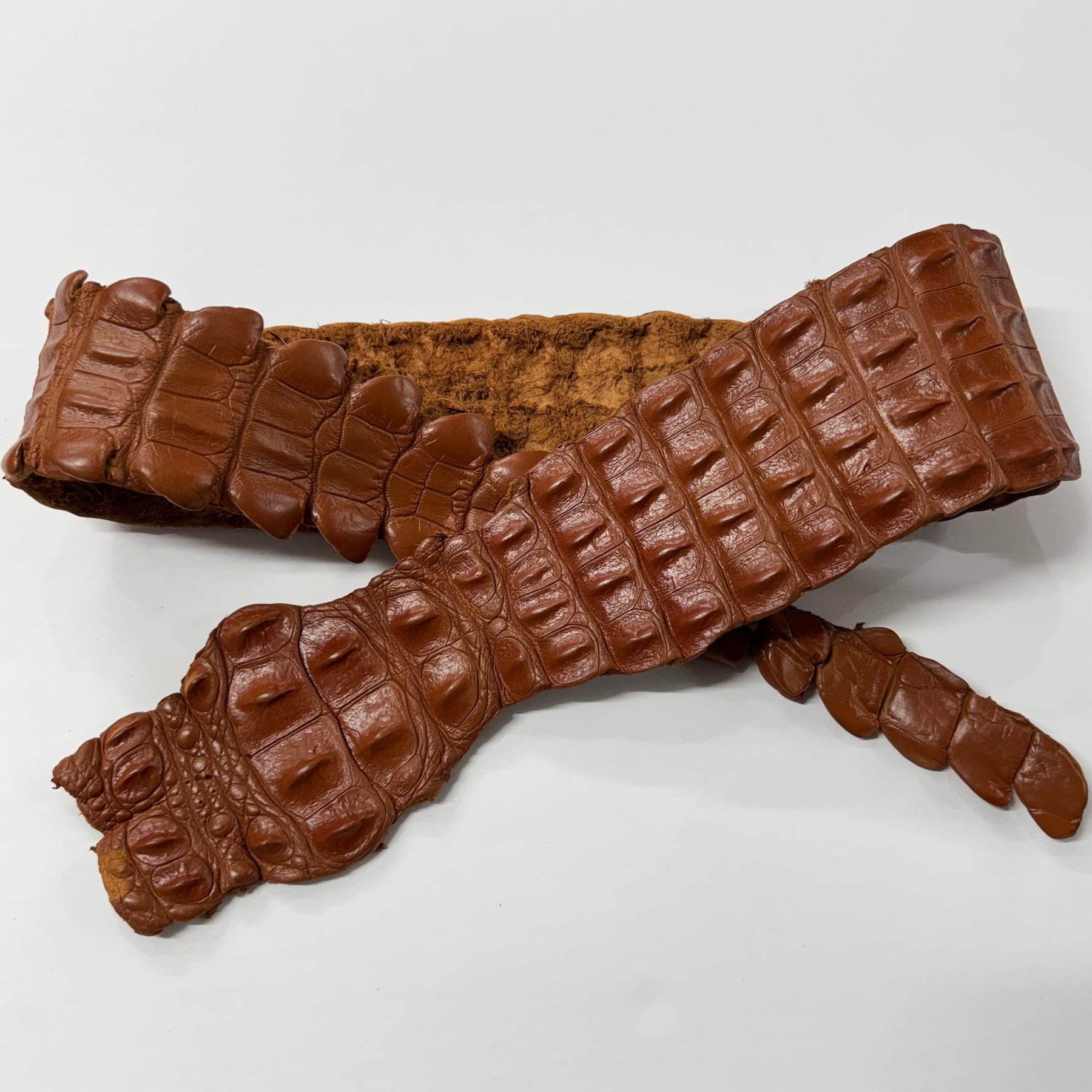 Authentic cognac brown crocodile backstrap leather with rich tones and pronounced back ridge detailing.