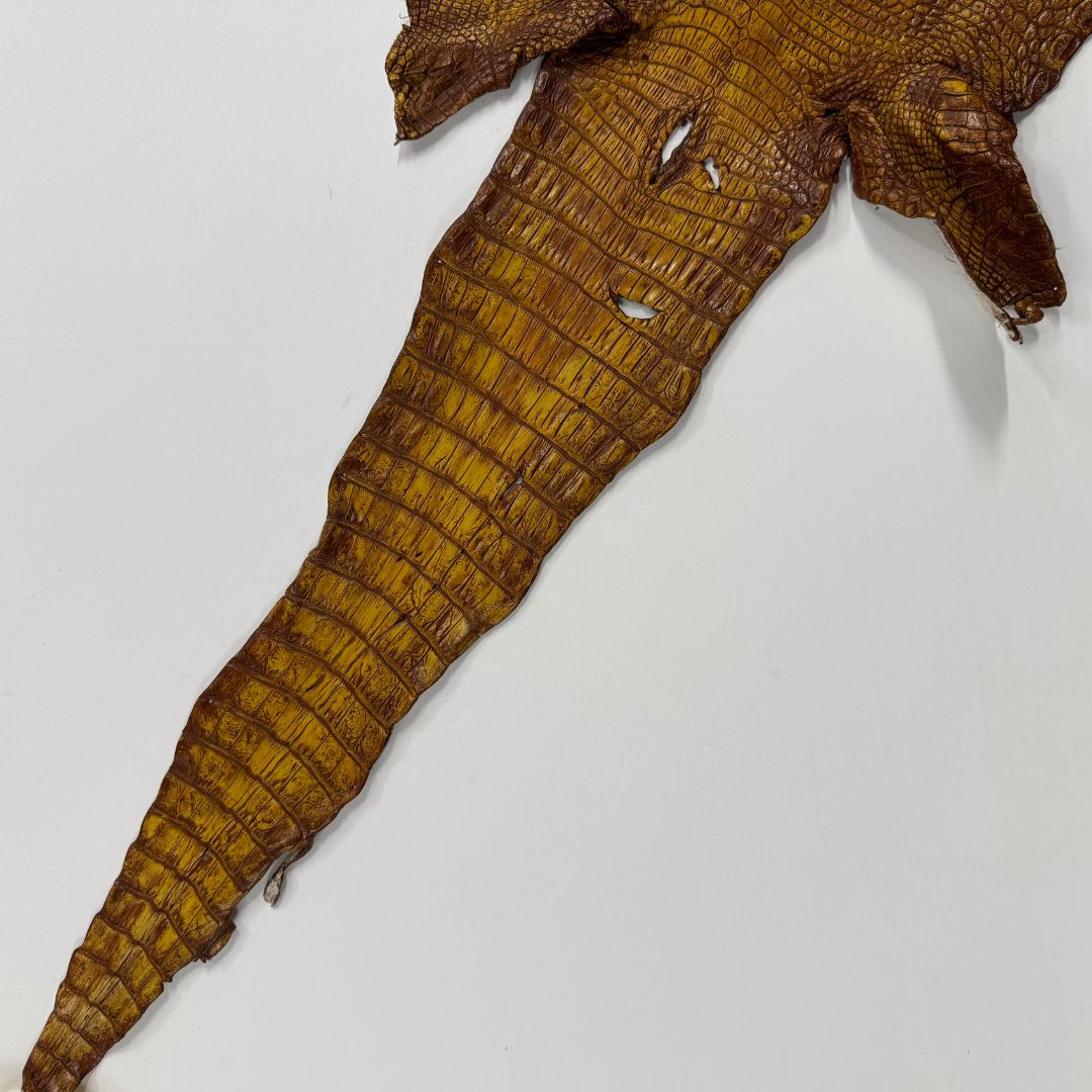 Hand Painted Nile Crocodile | Yellow Brown | 24 cm