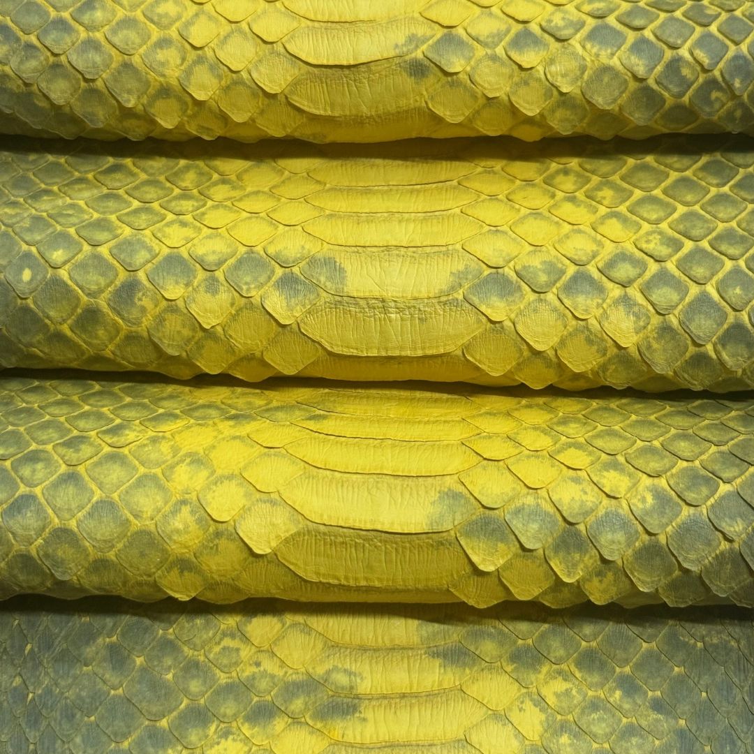 Genuine Elaphe Snakeskin | Yellow