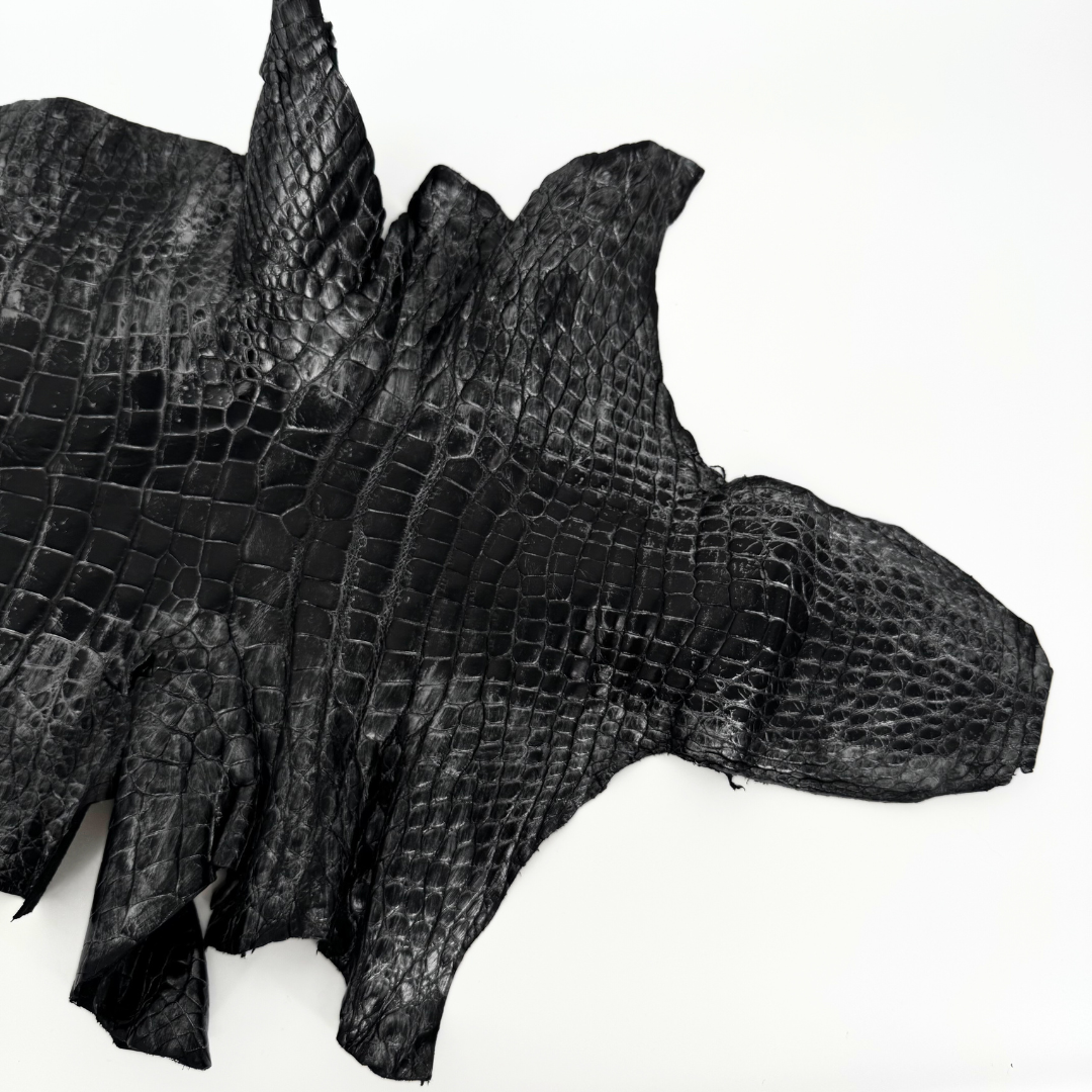 Exotic glazed alligator hide perfect for crafting by District Leathers
