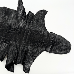 Exotic glazed alligator hide perfect for crafting by District Leathers
