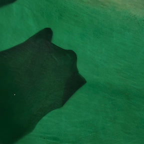 Transparent Lamb Leather