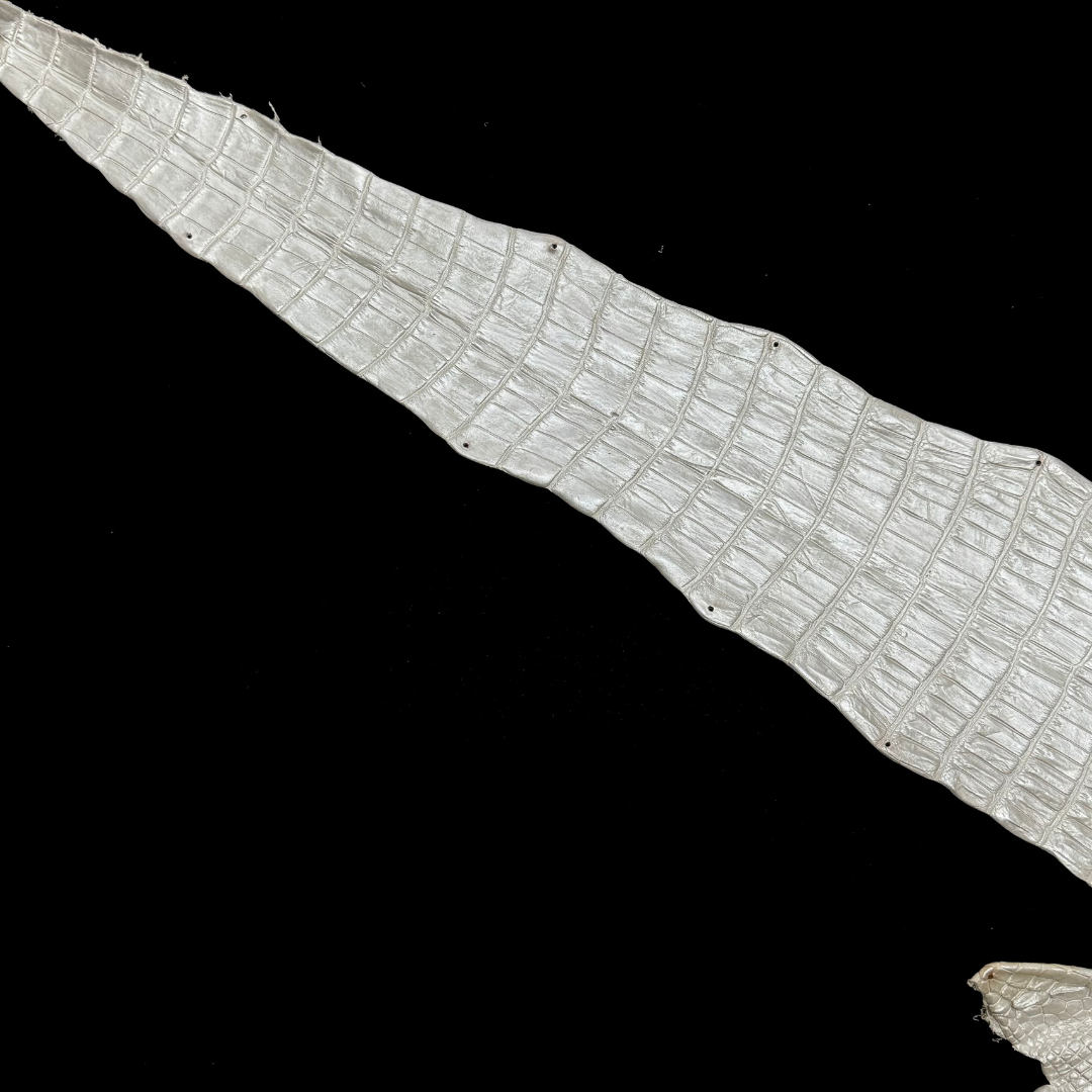 Lustrous pearl crocodile leather suited for luxury interiors and custom applications – District Leathers.