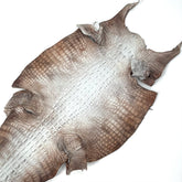 Hornback Crocodile Dyed in New York City | Only 1 available!