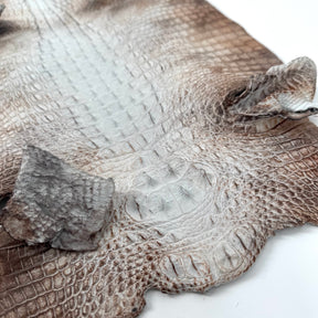 Hornback Crocodile Dyed in New York City | Only 1 available!