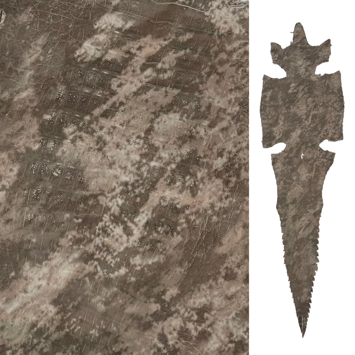 Khaki Camo Caiman Crocodile | SALE
