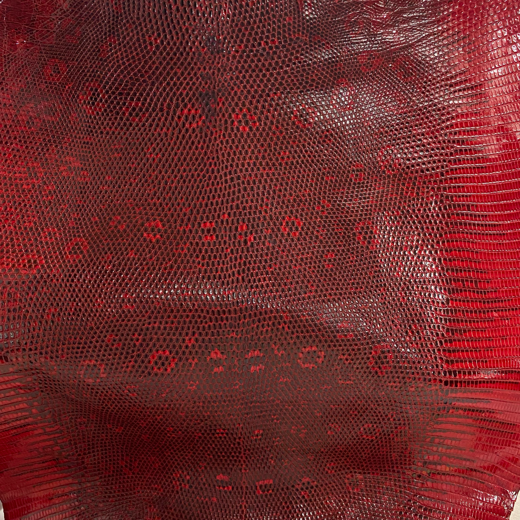 Lizard Skin | Red (Back Cut)