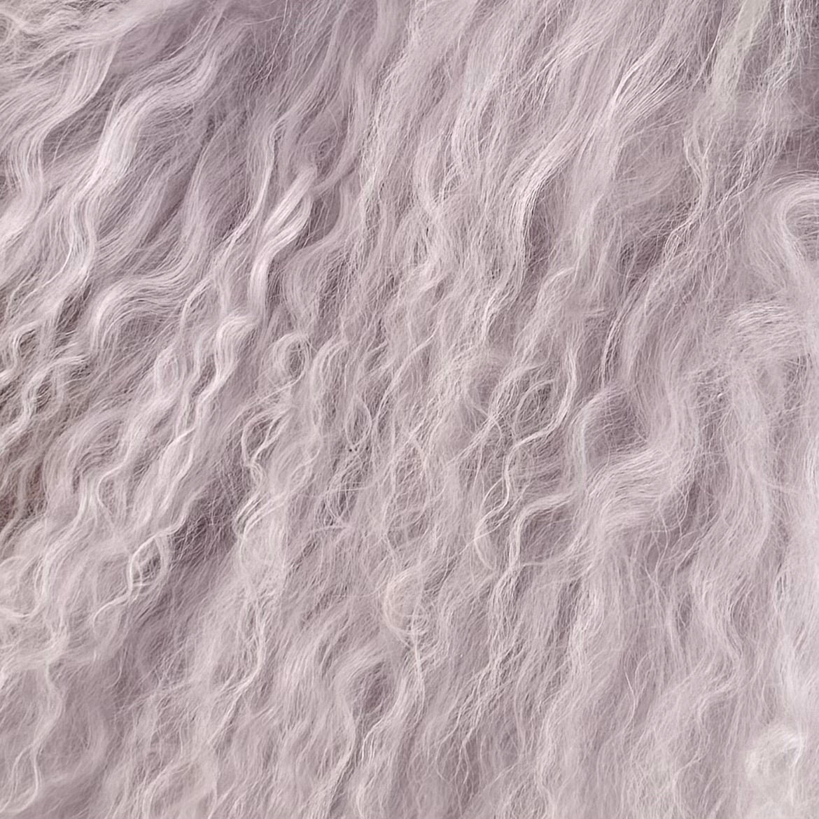 Mongolian Curly Lamb Plate | Ships in 4-5 Days