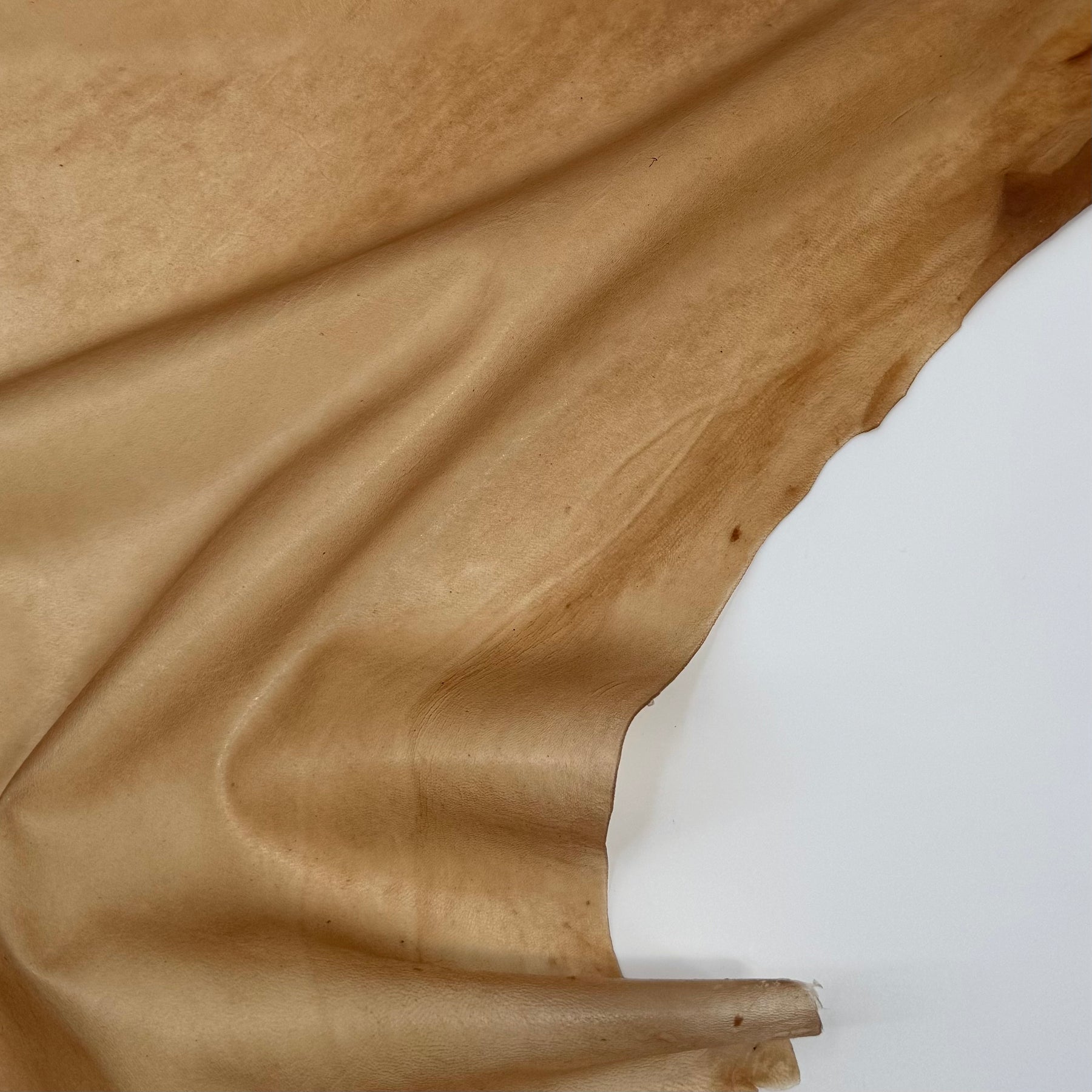 Transparent Lamb Leather