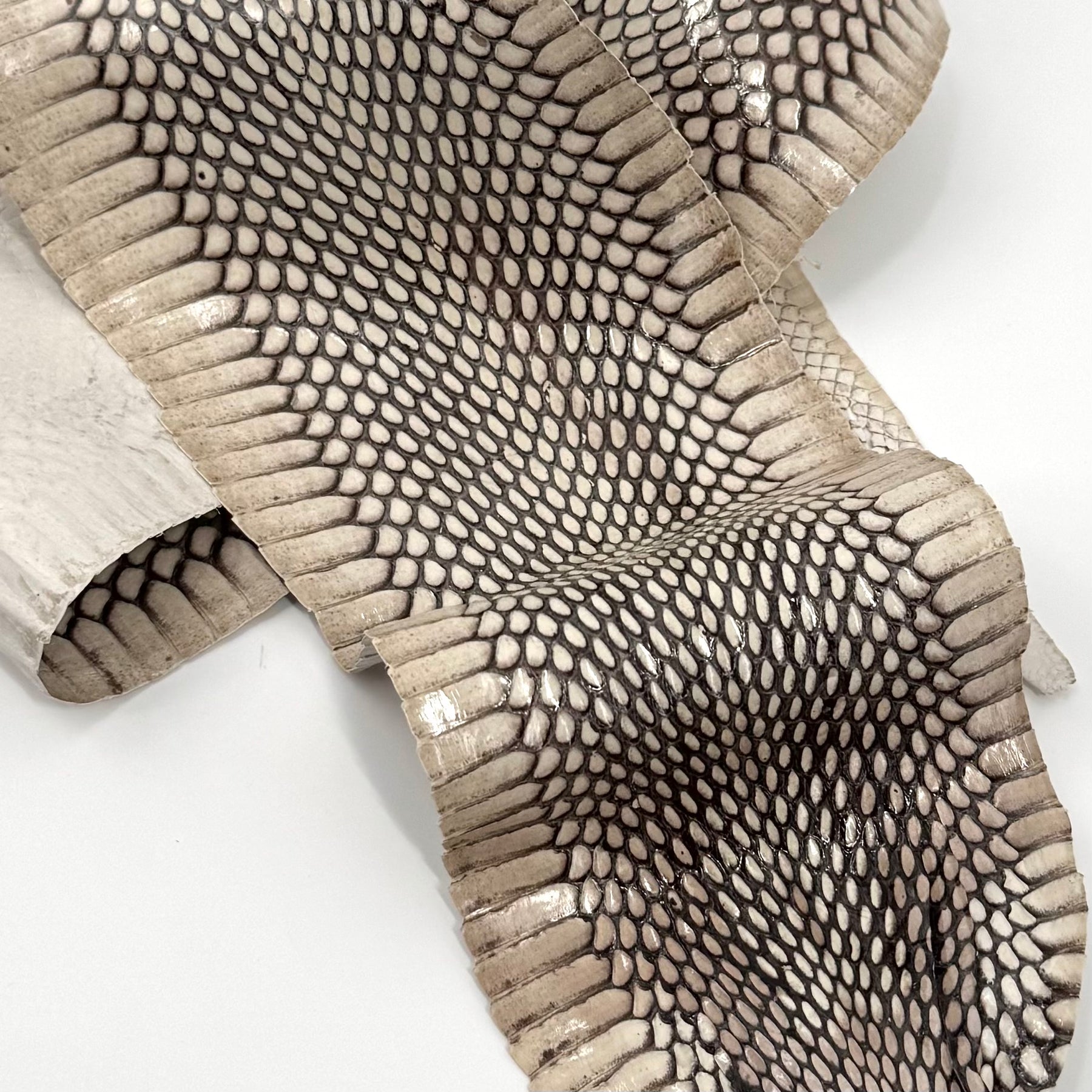 Head-On Genuine Cobra Skin