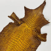 Hand Painted Nile Crocodile | Yellow Brown | 24 cm