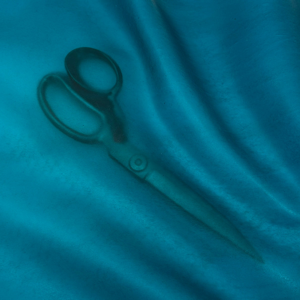 Transparent Lamb Leather