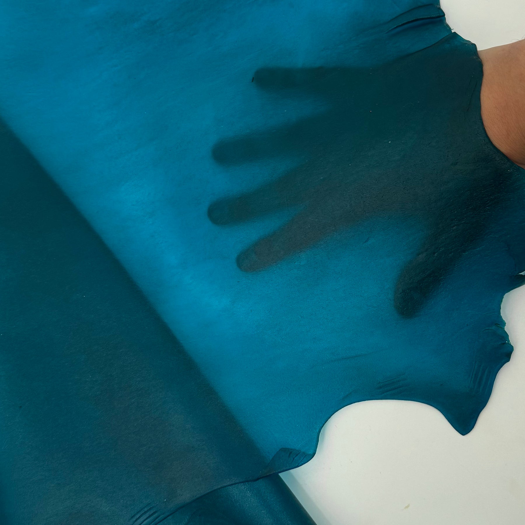 Transparent Lamb Leather