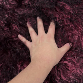 Mongolian Curly Lamb Plate in Raspberry Nights | Limited Stock