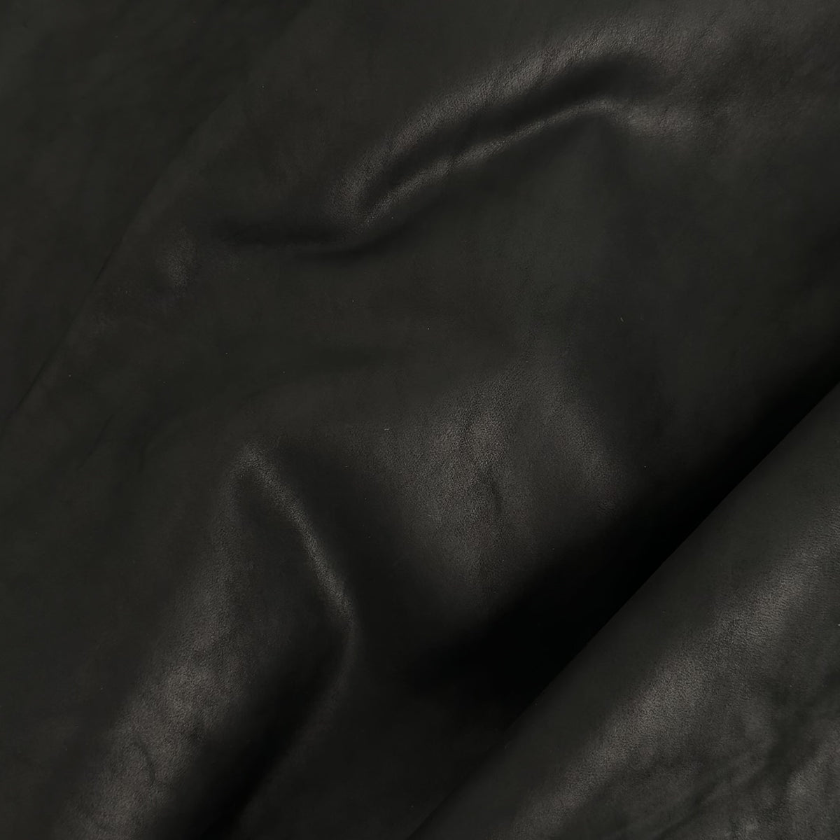 Homage Horse Leather