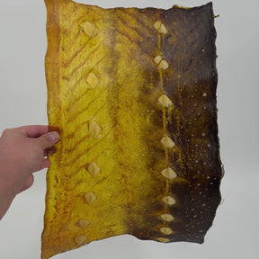 Transparent Sturgeon Plates | One-Of-A-Kind