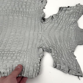Matte Silver Caiman Crocodile | SALE