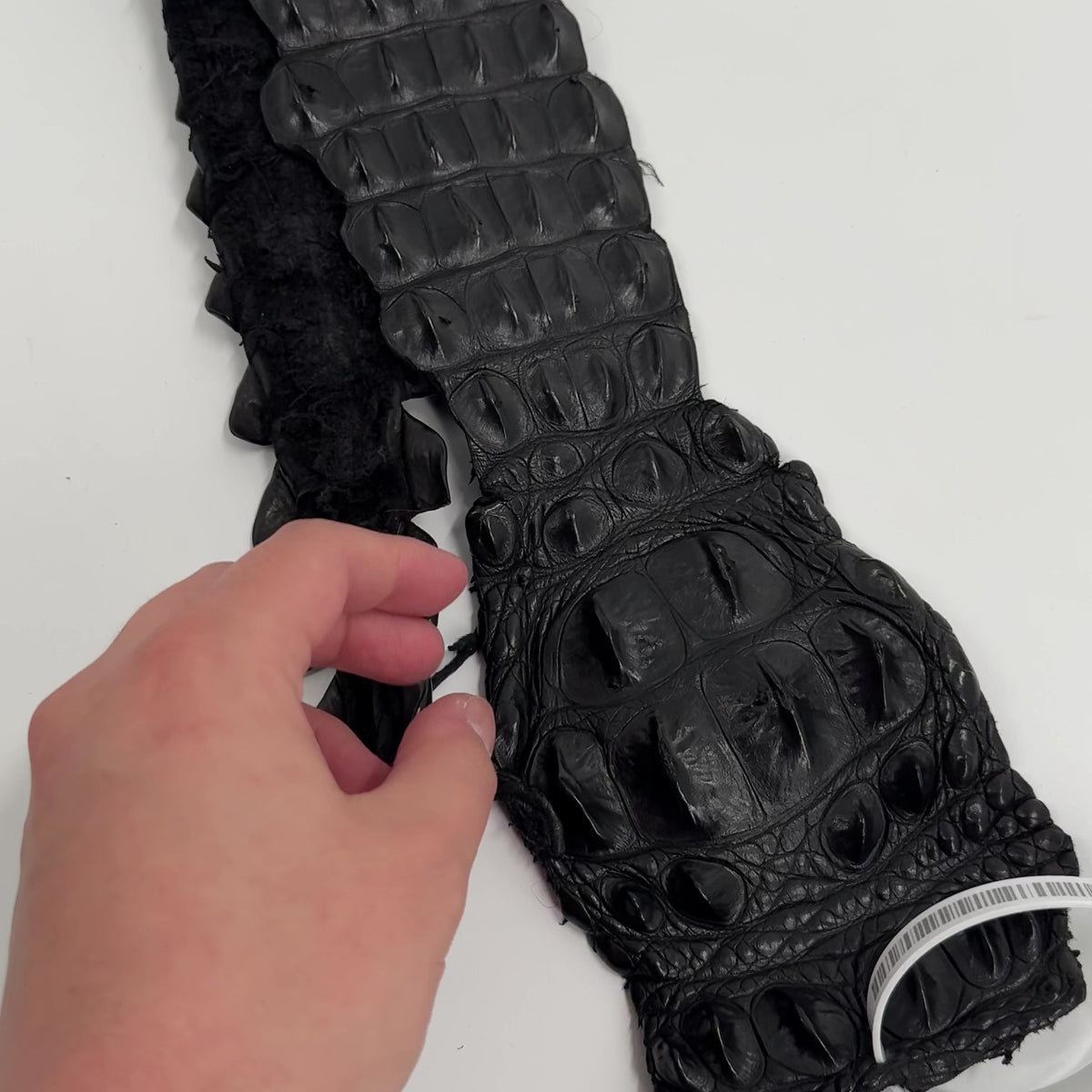 Genuine Crocodile Straps